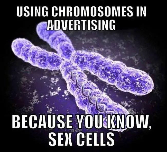 science-jokes-chromosomes