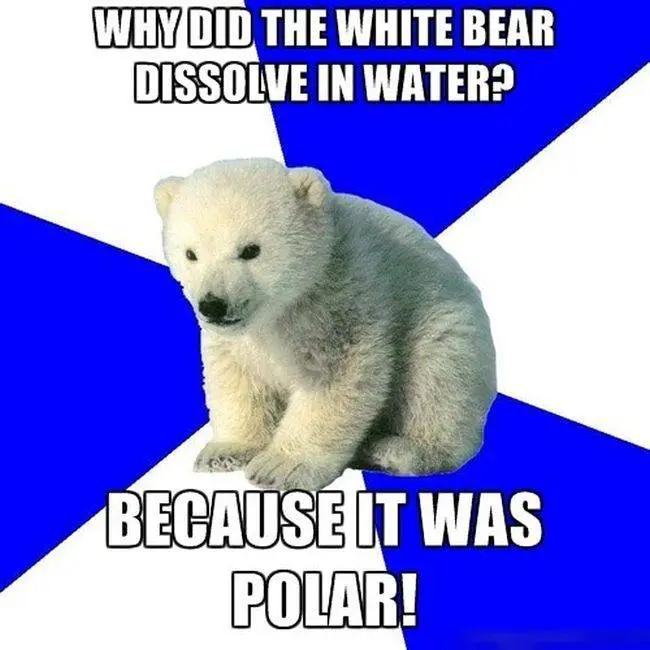 science-joke-polar