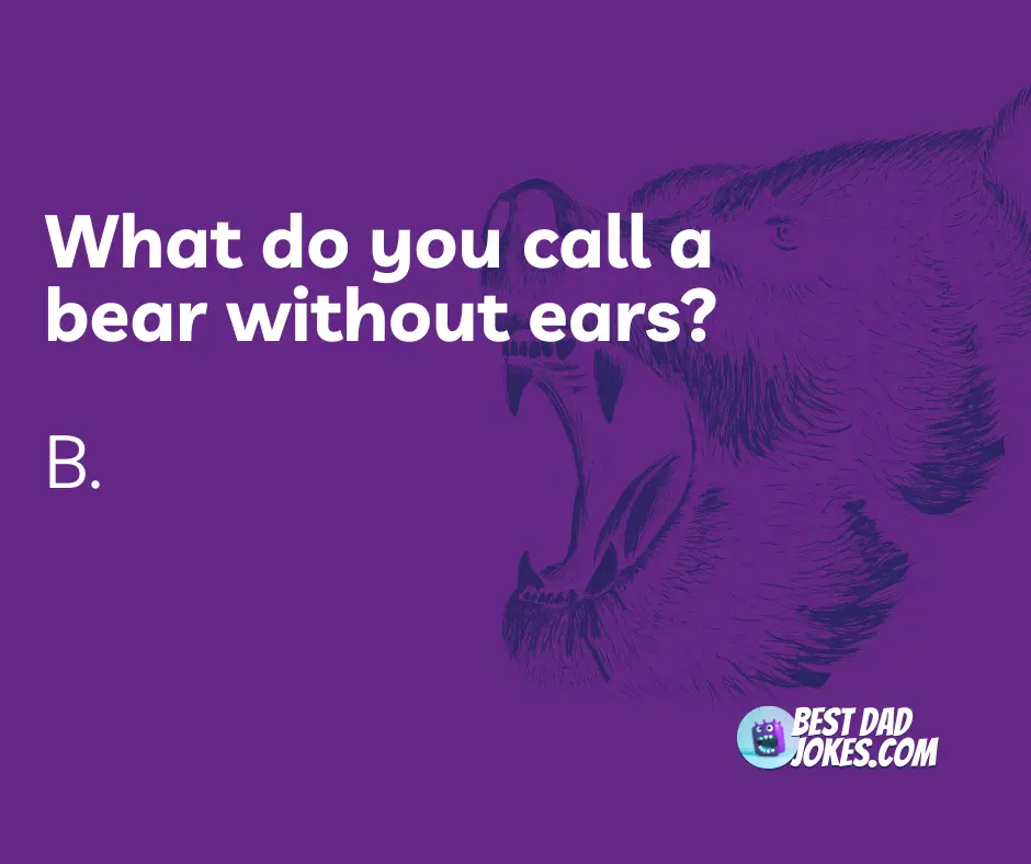 What do you call a bear that has no ears? 
B.
